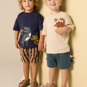 Navy/Stone 2 Pack Short Sleeve T-Shirt & Shorts Set (3mths-7yrs)